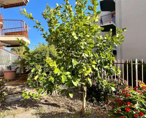 imm_10294-20251004142835-1280