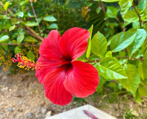 imm_10312-20251004142816-1280