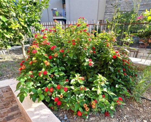 imm_10314-20251004142842-1280