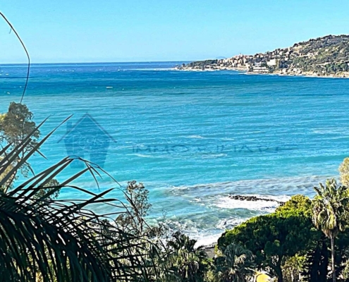 imm_10331-20251025134536-1200