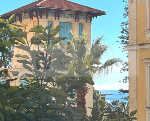 imm_10433-20251218124909-1280