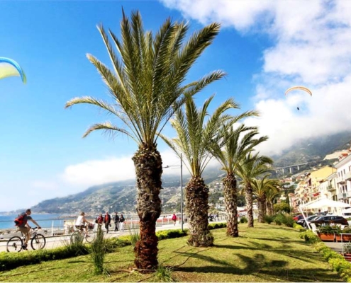 imm_10542-20260312104810-1280