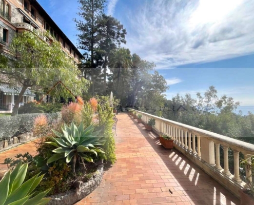 imm_10548-20260320164126-1133