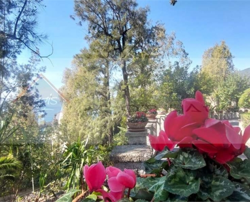 imm_10551-20260320104723-1280