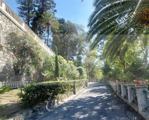 imm_10552-20260320104725-1280