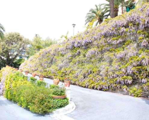 imm_10557-20260320104749-1280