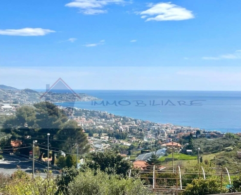 imm_10664-20260401185537-1200