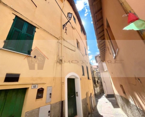 imm_10667-20260401185113-1200