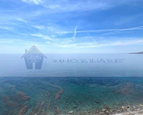 imm_10789-20260523145335-1184